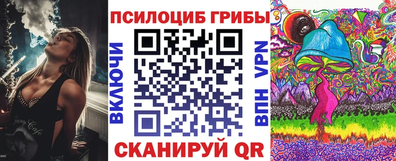 kraken ссылки Дубна Псилоцибиновые грибы Cubensis